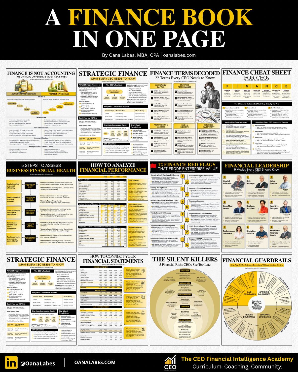 A Finance Book In One Page — 12 CEO financial intelligence frameworks by Oana Labes, MBA, CPA